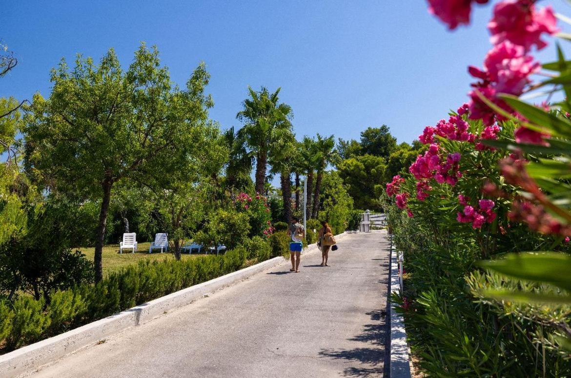 Aria Di Mare Vieste - Luxury Apartments By The Sea Екстериор снимка