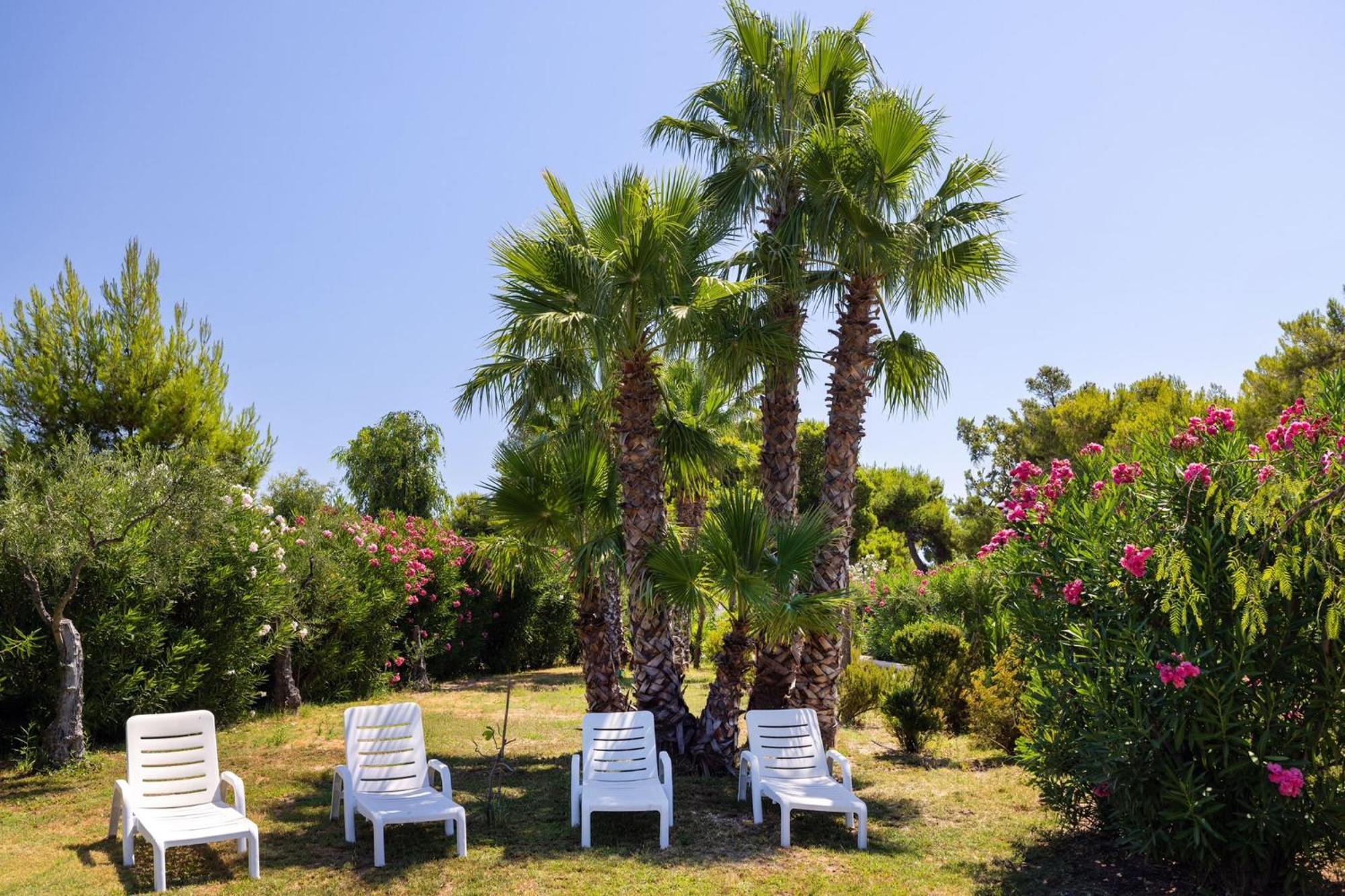 Aria Di Mare Vieste - Luxury Apartments By The Sea Екстериор снимка